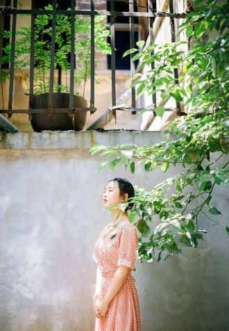 九重紫电视剧免费观看全集在线播放