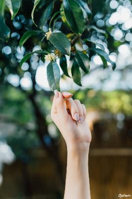 2026新澳正版资科免费资本